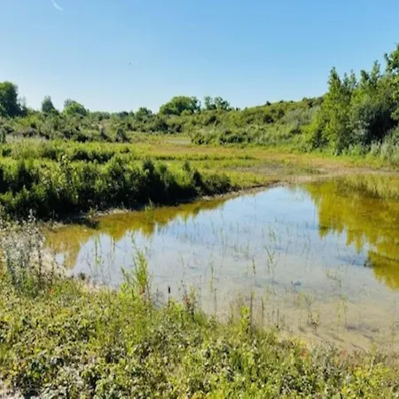In Dunes Near Marina Nieuwpoort Appartement