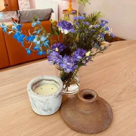 In Dunes Near Marina Nieuwpoort * Oostduinkerke