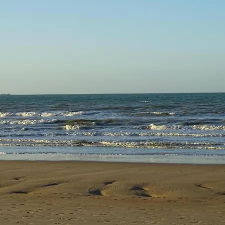 In Dunes Near Marina Nieuwpoort Oostduinkerke