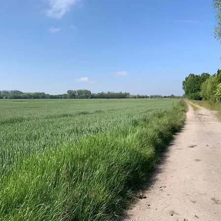 Appartement In Dunes Near Marina Nieuwpoort Oostduinkerke
