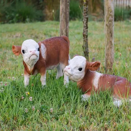 In Dunes Near Marina Nieuwpoort Oostduinkerke