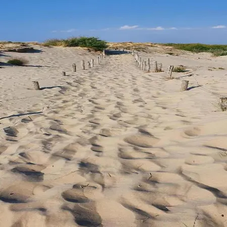 In Dunes Near Marina Nieuwpoort Oostduinkerke