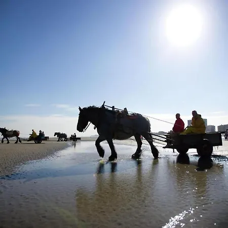 In Dunes Near Marina Nieuwpoort * Oostduinkerke