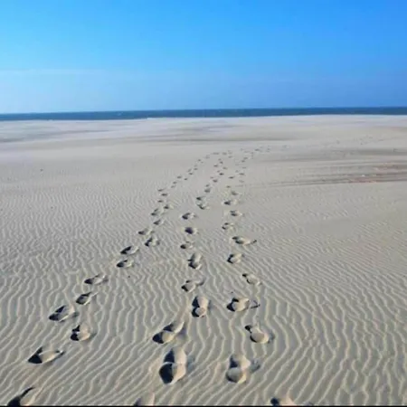 In Dunes Near Marina Nieuwpoort